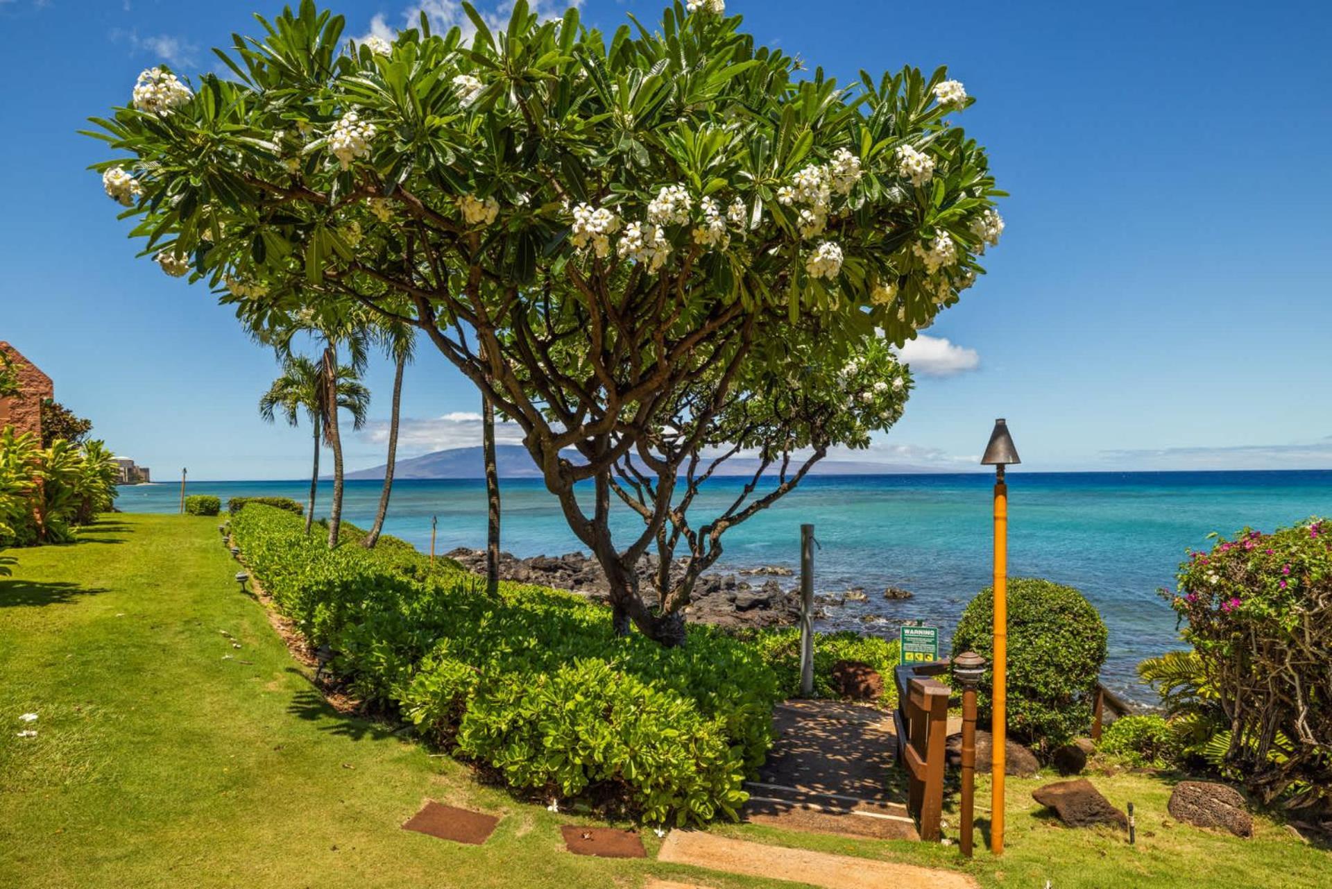 Kuleana Club #611 Oceanfront - 1 Bedroom & 1 Bathroom - Gated 2Nd Fl Kahana المظهر الخارجي الصورة